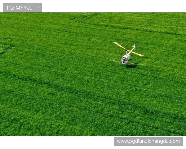 政府部门联合多方力量推动正版pg电子产业规范化发展实现可持续增长